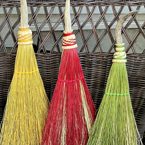 Yellow Buckland Broom