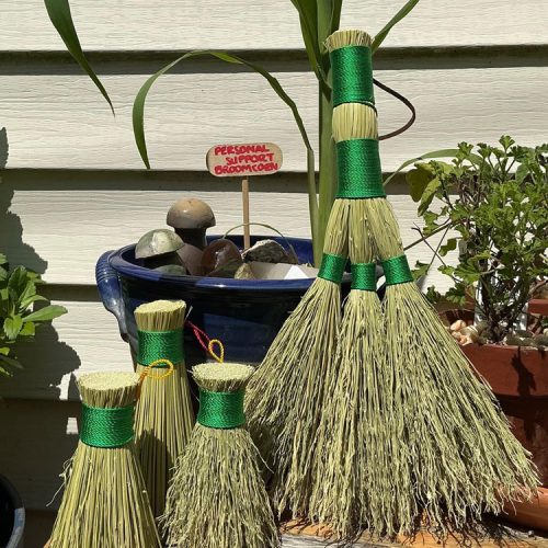 Fundamentals of Broomcraft course
