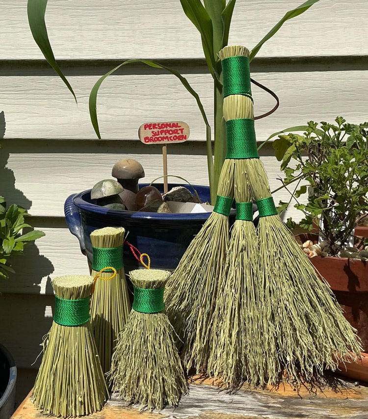 Fundamentals of Broomcraft course